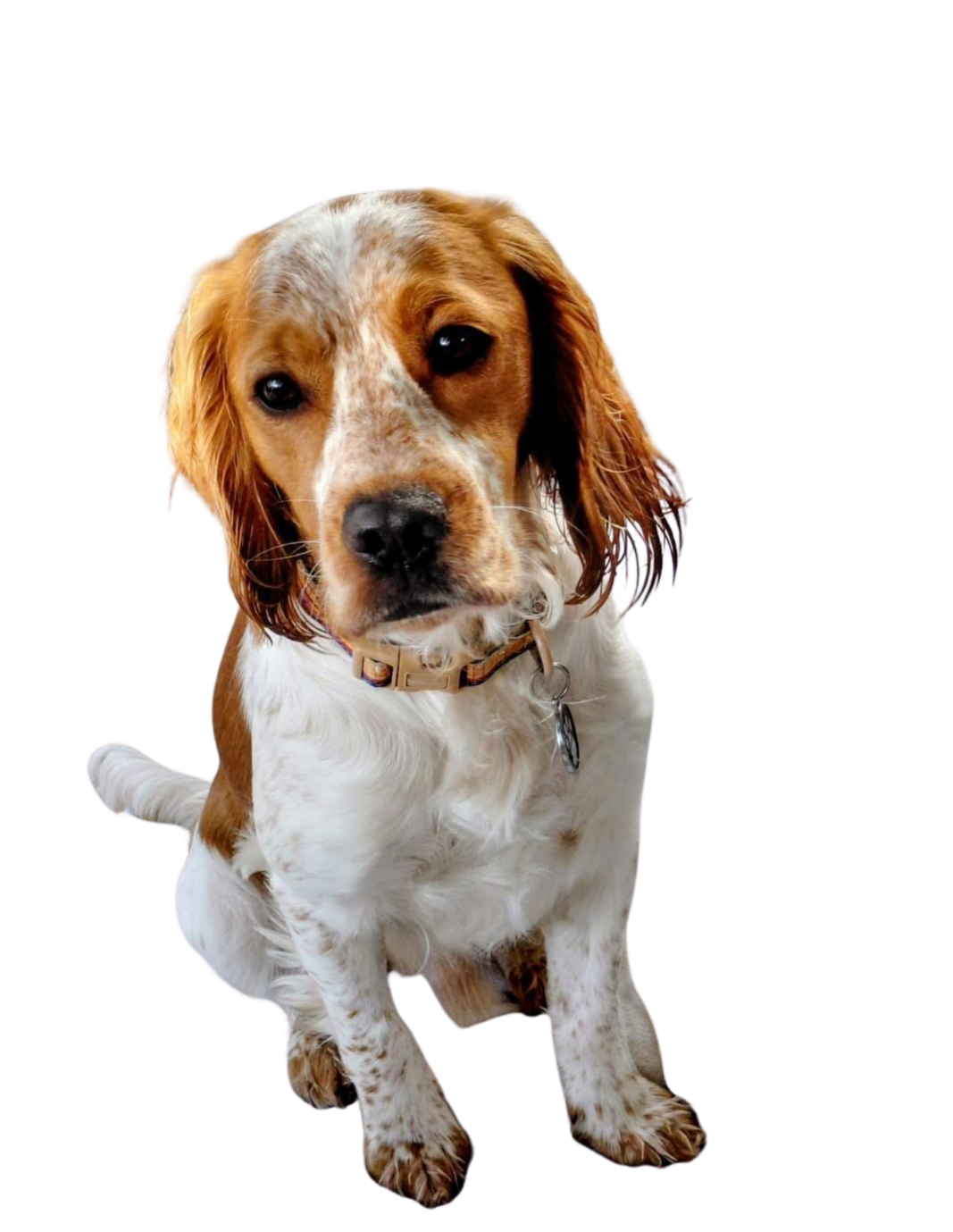 0d30b459 7b5f 4b34 9b55 7153928bb37d